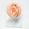 Modello Orecchio Umano In Silicone Morbido Per Pratica Piercing - 1 Coppia, 7.5x4.5x1.7 Cm, Realistico
